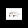 Buy Flubrotizolam (FANAX) – 0.5mg Online